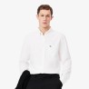 Chemise regular fit Oxford LACOSTE