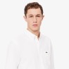 Chemise regular fit Oxford LACOSTE