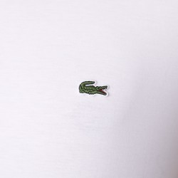 T-shirt coton Pima léger LACOSTE