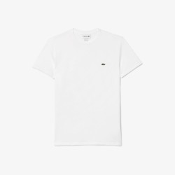 T-shirt coton Pima léger LACOSTE