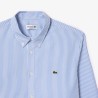Chemise regular coton rayée LACOSTE