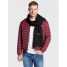 Echarpe en coton TOMMY HILFIGER