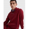 Sweat à capuche 1985 tissu éponge TOMMY HILFIGER